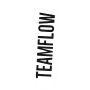 F2 Wakeboard ROCK´N´ROLL - TEAM FLOW Yellow 2025 Wakeboards 2