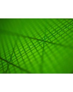 Loftsails Windsurf Zubehör Tri-Axial X-Ply Green Thickness 2.0 mil Width 1.50m p/m Green Powerjoint/Kleinteile 1