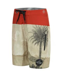 Picture Boardshort CODE 19 C Palmtree Herren 2019 Boardshorts 1